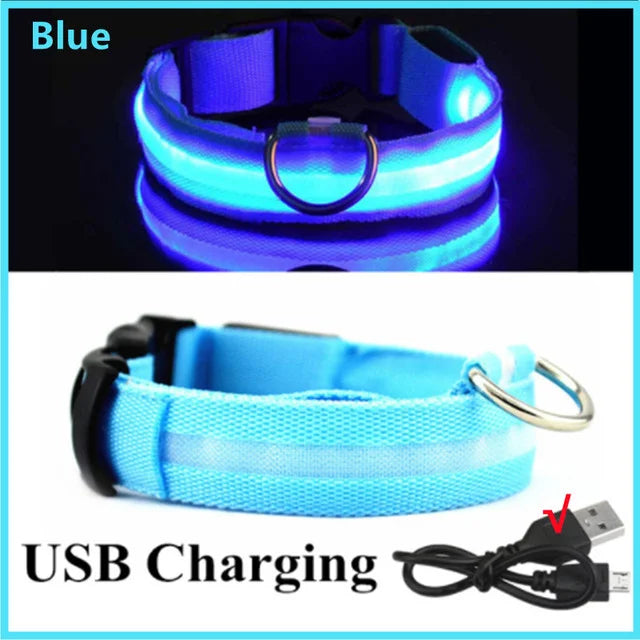 Bright LED Multi-coloured Dog Collar - DOFIBA