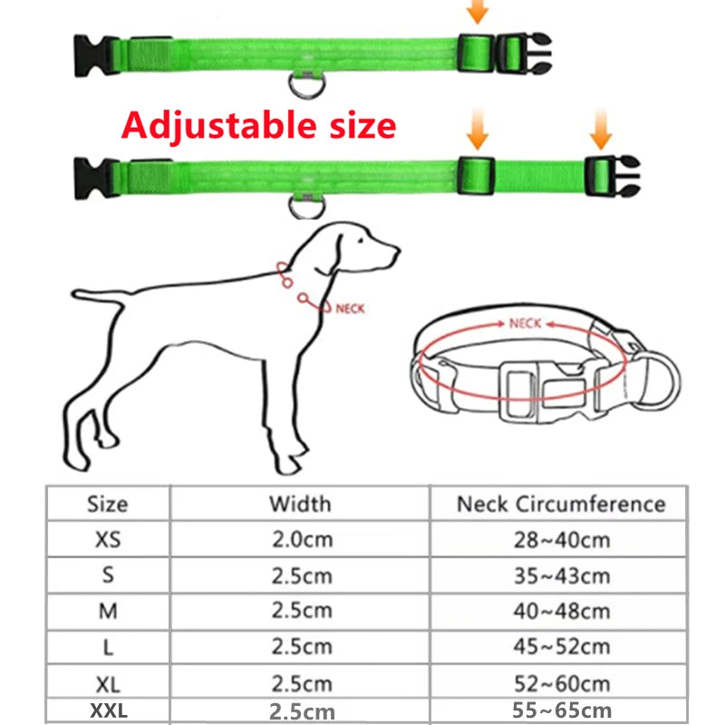 Bright LED Multi-coloured Dog Collar - DOFIBA