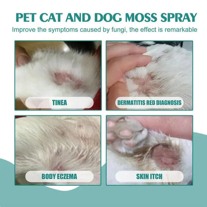 30ml Pet Skin Care Spray Moss Spray For Dogs - DOFIBA