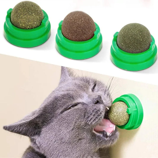 Natural Catnip Stick-on Ball Treats - DOFIBA