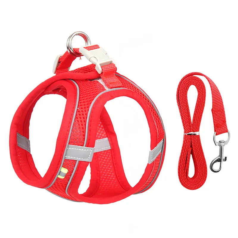 Adjustable Dog Harness for Small Dogs - DOFIBA