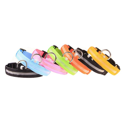 Bright LED Multi-coloured Dog Collar - DOFIBA