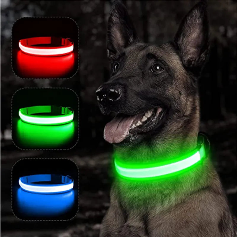 Bright LED Multi-coloured Dog Collar - DOFIBA